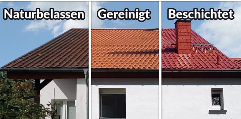 Dachreinigung vorher nachher