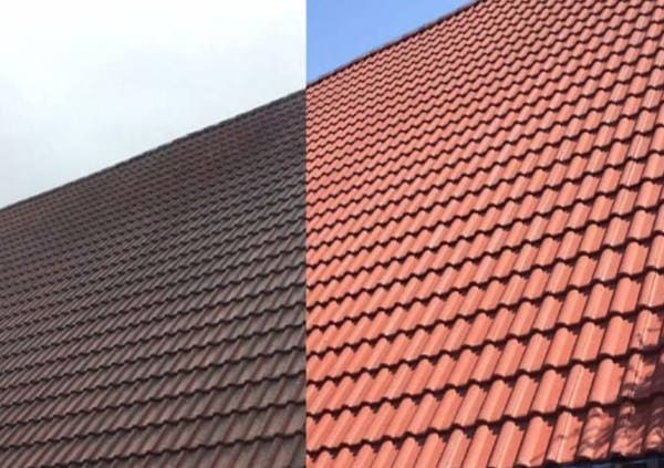 Dachreinigung Detailansicht Moos